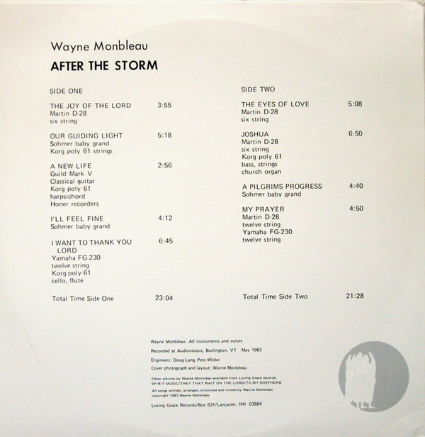 ladda ner album Wayne Monbleau - After The Storm