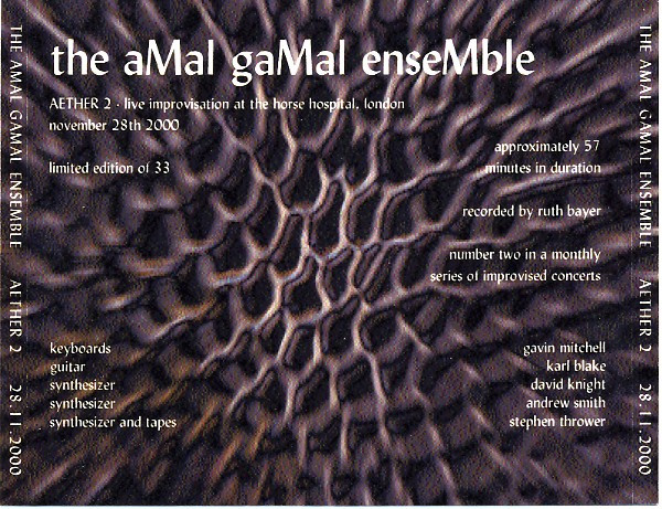 télécharger l'album The Amal Gamal Ensemble - Aether 2