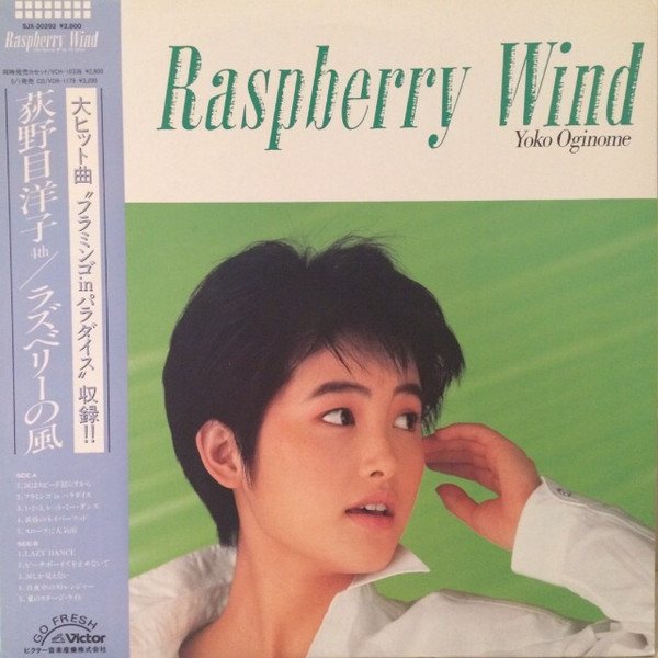Yoko Oginome – ラズベリーの風 = Raspberry Wind (1986, Vinyl) - Discogs