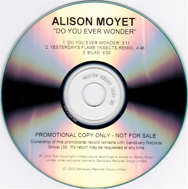 last ned album Alison Moyet - Do You Ever Wonder