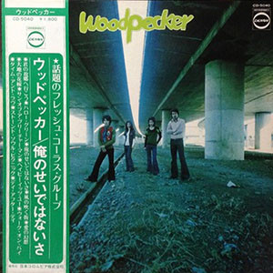 télécharger l'album ウッドペッカー - Woodpecker
