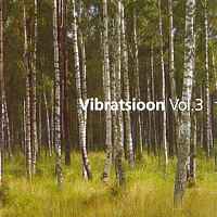 Vibratsioon Vol. 3 - Various