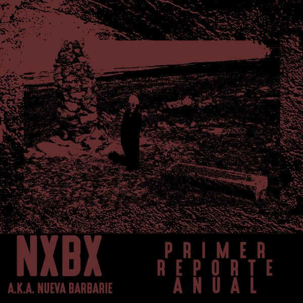 descargar álbum NxBx - Primer Reporte Anual