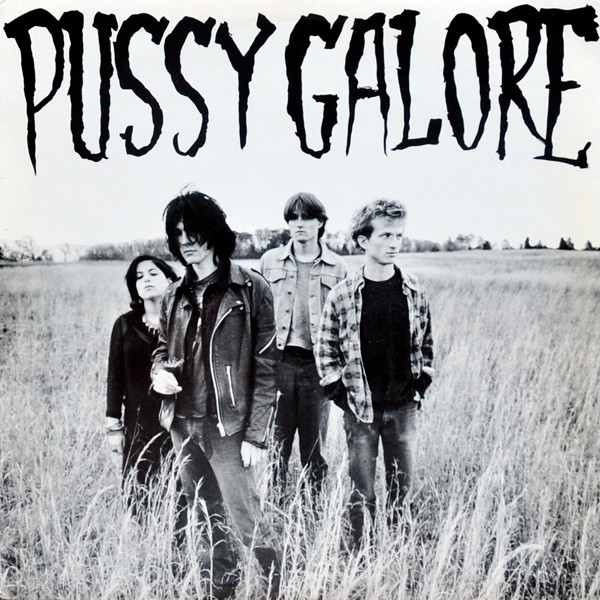 Pussy Galore – Groovy Hate Fuck (2013, Vinyl) - Discogs