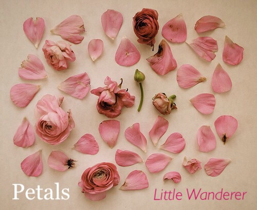 Album herunterladen Little Wanderer - Petals Launchpad Session