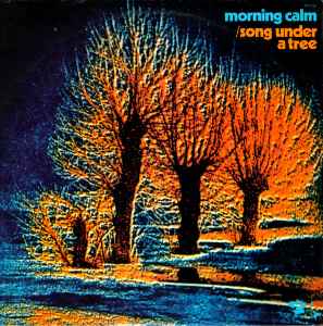 Pochette de l'album Morning Calm - Song Under A Tree