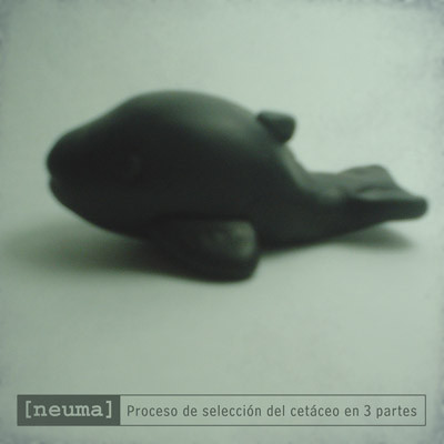 télécharger l'album neuma - Proceso De Seleccion Del Cetaceo En Tres Partes