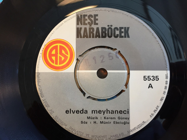 télécharger l'album Neşe Karaböcek - Elveda Meyhaneci Bu Nasıl Aşk Böyle