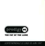 Cover of The Fat Of The Land, 1997, CD