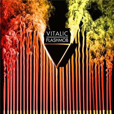 Vitalic ‎– Flashmob アナログレコード LP-
