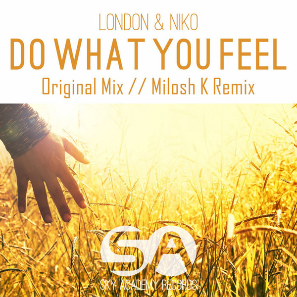 ladda ner album London & Niko - Do What You Feel