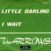 lataa albumi The Arrows - Little Darling I Wait