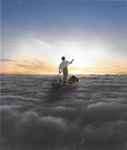 Cover of The Endless River, 2014-11-07, CD