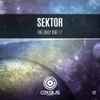 Sektor (12) - The Only One EP