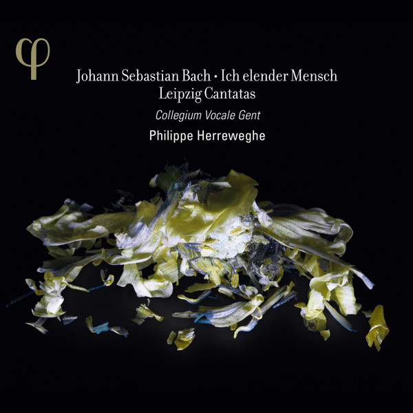 last ned album Johann Sebastian Bach, Collegium Vocale Gent, Philippe Herreweghe - Ich Elender Mensch Leipzig Cantatas