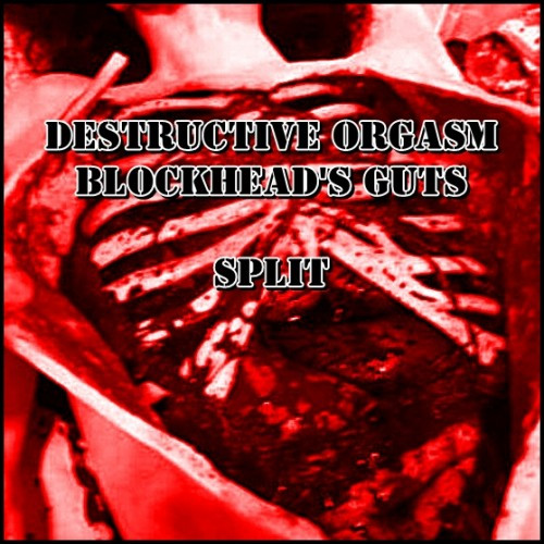 Album herunterladen Destructive Orgasm & Blockhead's Guts - Split