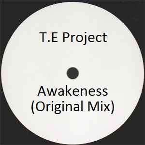 T.E Project - Awakeness (Original Mix)  album cover