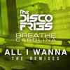 The Disco Fries* Ft Breathe Carolina - All I Wanna The Remixes