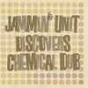 Jammin' Unit - Jammin' Unit Discovers Chemical Dub
