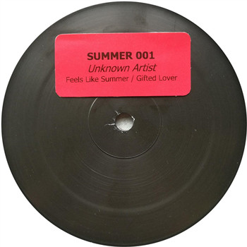 Album herunterladen Unknown Artist, Villem & Mcleod - Summer 001