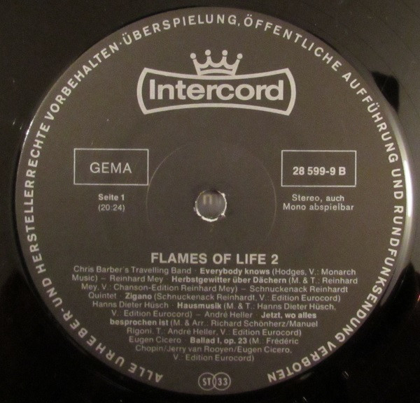descargar álbum Various - Flames Of Life 2