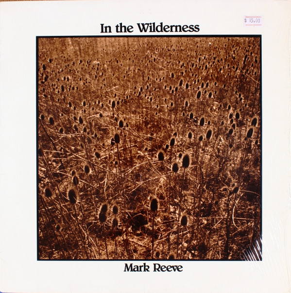 last ned album Mark Reeve - In The Wilderness