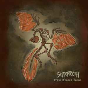Sharptooth (3) - Transitional Forms album cover