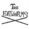The Flatworms - A Can Of Worms