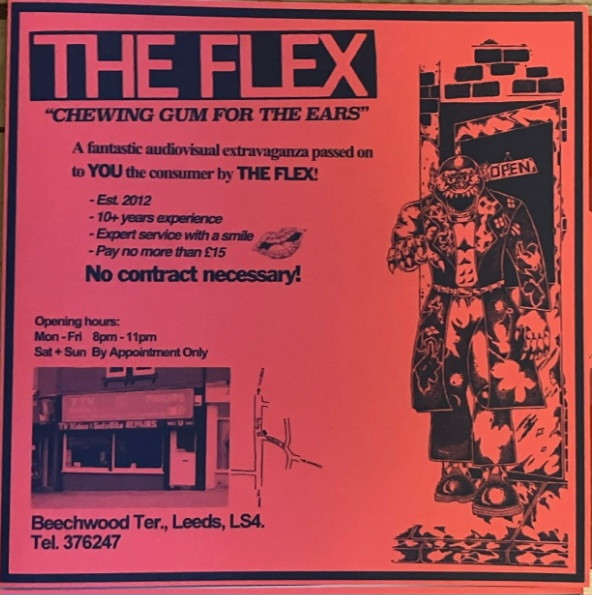 The Flex – Chewing Gum for the Ears (Static Shock Records, 2022) - Apathy &  Exhaustion