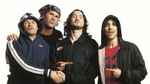 ladda ner album Red Hot Chilly Peppers - Under The Bridge Live