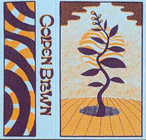Golden Brown (3) - Moonrise Orb Weaver album cover