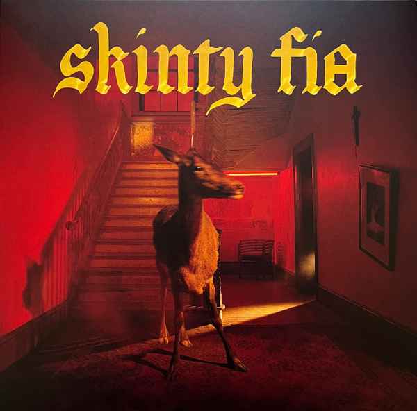 Fontaines D.C. - Skinty Fia album cover