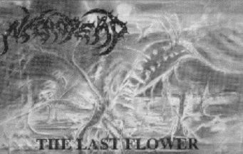 baixar álbum Necrodead - The Last Flower