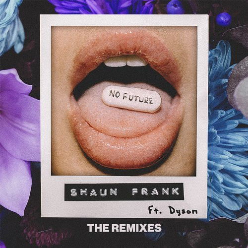 télécharger l'album Shaun Frank Ft DYSON - No Future The Remixes