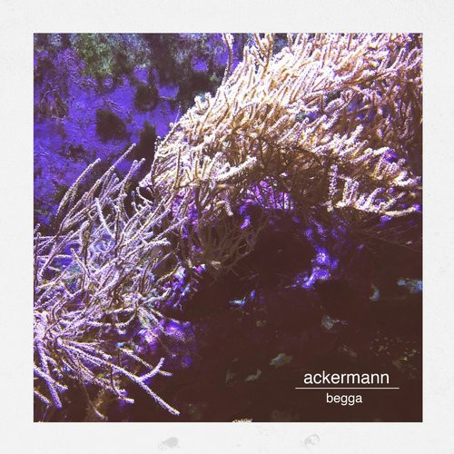 baixar álbum Ackermann - Begga