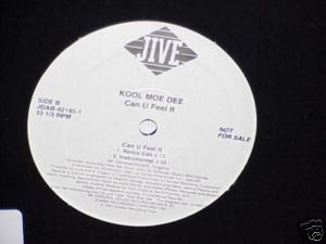 Kool Moe Dee – Can U Feel It (1993, Vinyl) - Discogs