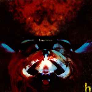 Hypernature - In Memory Of The Ritual album cover