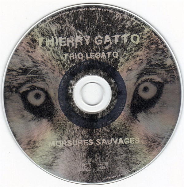 ladda ner album Thierry Gatto, Trio Legato - Morsures Sauvages