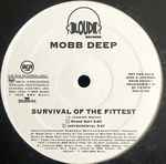 Cover of Survival Of The Fittest, 1995, Vinyl