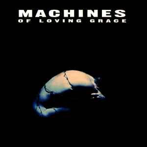 Machines Of Loving Grace - Concentration album cover