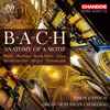 Bach*, Brahms*, Karg-Elert*, Liszt*, Mendelssohn*, Reger*, Schumann*, Simon Johnson (9) - B - A - C - H: Anatomy Of A Motif