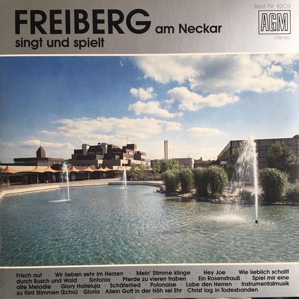 descargar álbum Various - Freiberg Am Neckar Singt Und Spielt