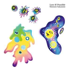 坂本慎太郎 - できれば愛を (Love If Possible) | Releases | Discogs