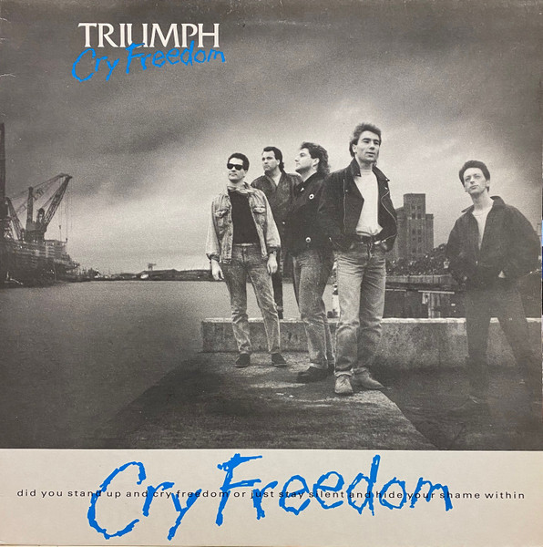 cry freedom poster
