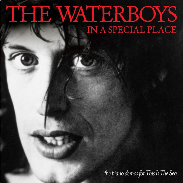 télécharger l'album The Waterboys - In A Special Place