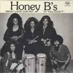 Honey B's – What Love Can Do / If You Didn't (2011, Vinyl) - Discogs