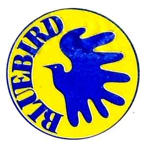Bluebird (2) image