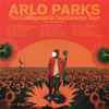 Arlo Parks - The Collapsed In Sunbeams Tour