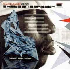 S-Double Aka Shabaam Sahdeeq – Never Say Never (2001, CD) - Discogs