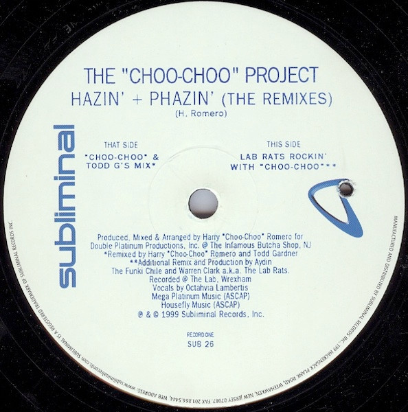 baixar álbum The Choo Choo Project - Hazin Phazin The Remixes